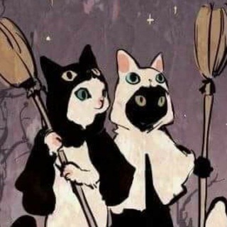 раки к пиву