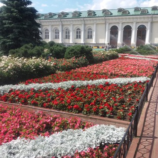 rassada.rostov (рассадаростов)