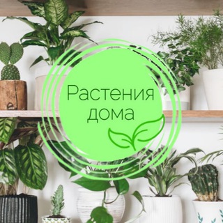 Растения дома