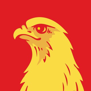 Сокол, Сокол, Сокол