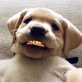 ЮВЕЛИРКА РЕЙЗЕРА🥶