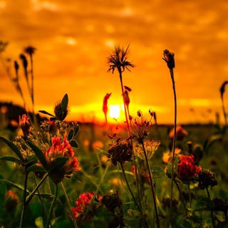 Психология жизни