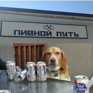 Разрушение молодит