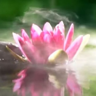 Путь саморазвития для всех