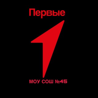 МОУ СОШ №45