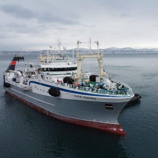 РЕФМЕХАНИКИ (ХОЛОДИЛЬЩИКИ)