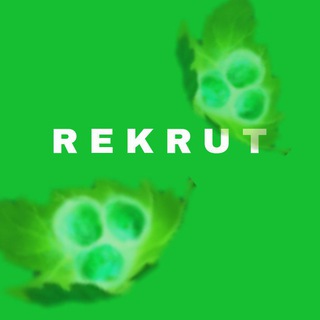 REKRUT_shop