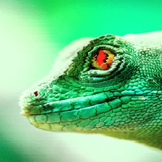 Рептилоиды правители мира