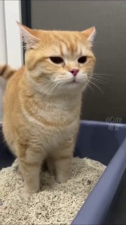 r/ретранслятор