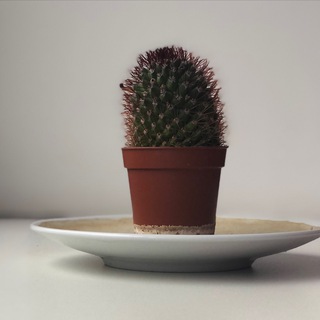 Такие дела…