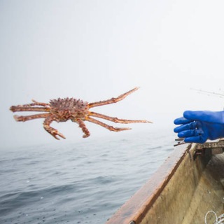 Рыбный Эксперт | Большой Улов