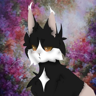 ۝◥──𝚁𝚎𝚍.𝚆𝚒𝚗𝚘.𝙰𝚛𝚝𝚜──◤۝