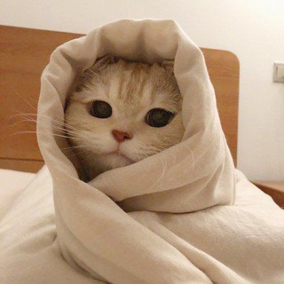 ~Ⲣⲟⳝⲁⲕⲥы~