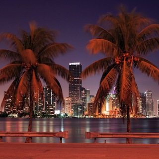 🚀 Rocketofc Invest Blog 🚀