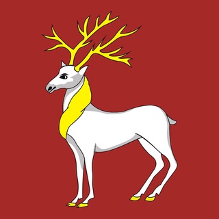 Новости Ростова