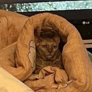 54 кг ярости