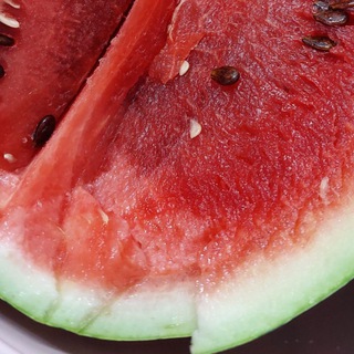 Исскуство возможного