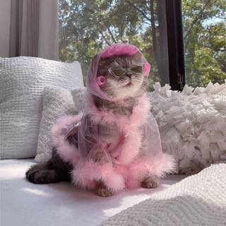 Дневник домашней феи