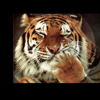 Тупик Борхеса