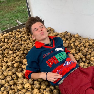 Картофельное поле