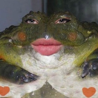 Цыганка Саня