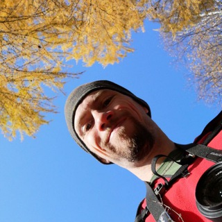 Заметки на свободную тему