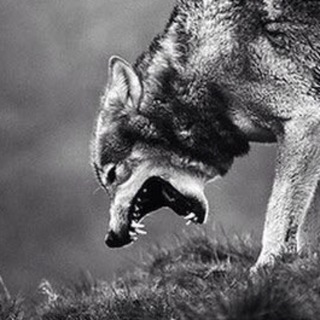 Мемы для злых людей