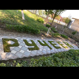 МБДОУ «Д/с N8 «Ручеёк»