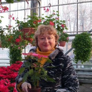 Рукавишникова О.Н.