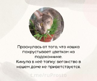Русский язык просто