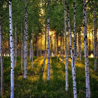 Путешествие по России 🇷🇺❤️