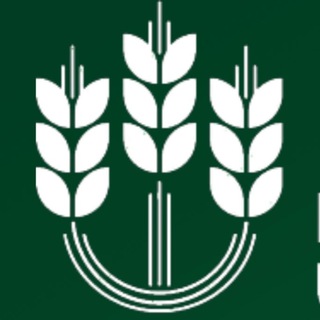 СОЮЗ ЭКСПОРТЕРОВ ЗЕРНА