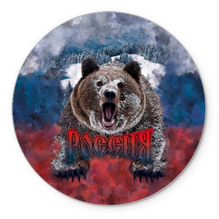 Новости России