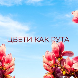 В Сочи на три ночи 🏖