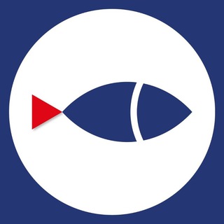 Рыбинская неделя