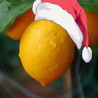 Lemonchik | Crypto | NFT