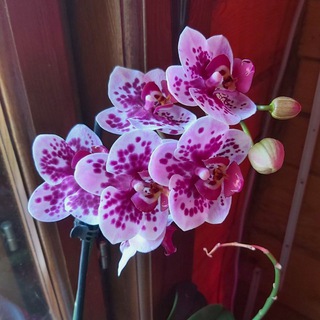 Разное от Сабины🌿