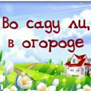 Во саду ли в огороде