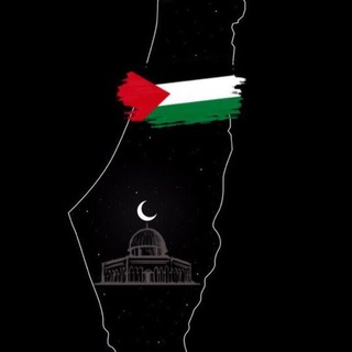أفكار 🤍
