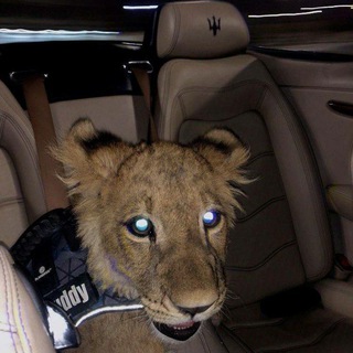 Slushai | Ｍｙｕｚｉｋｌ🎶