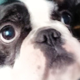 БИБЛИОТЕКА ПРИКОЛОВ🎒