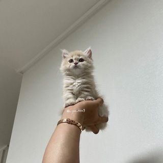 Щёлочный новостной блог