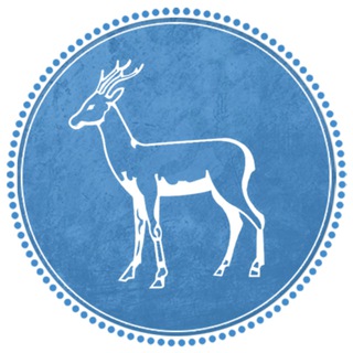 Самара-Новости (дайджест)