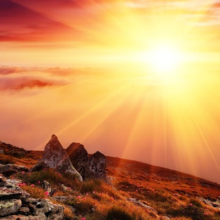 Создавай себя!