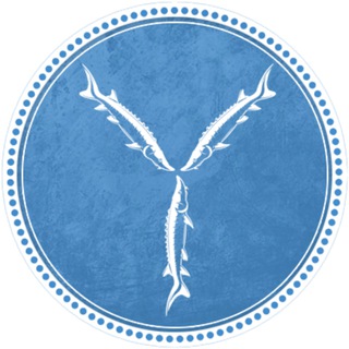 Саратов - Новости (дайджест)