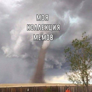 Невинный групповой чат 🐥