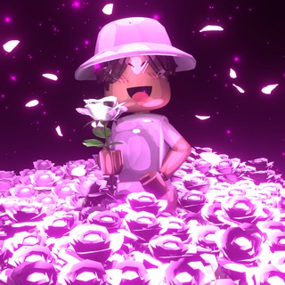 Xelin.telegram️🇺🇸