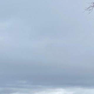 Светлана Бессараб