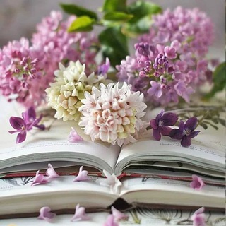 ЕГЭ и Литература 2023