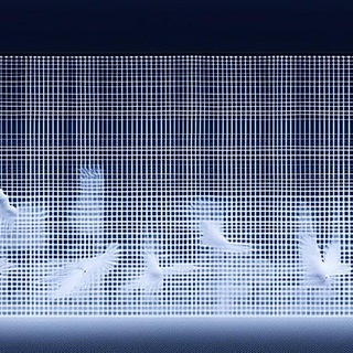 The School of Letters